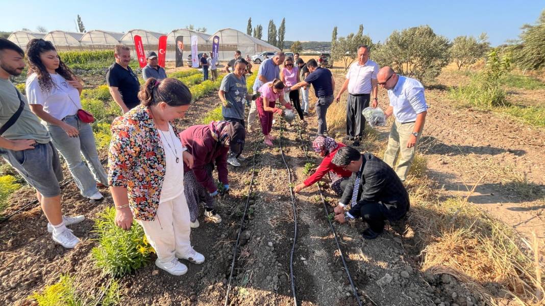 Toprağının verimi ve tarım ürünleriyle ünlü Çanakkale'ye bu kez bitki ekildi 2